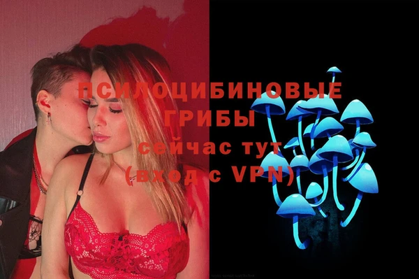 трава Армянск