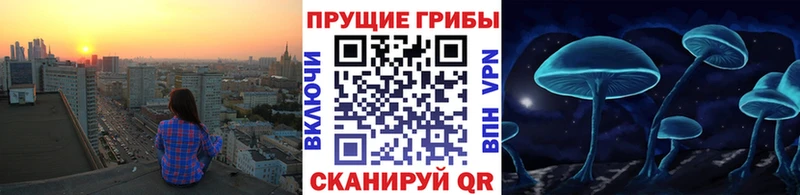 Псилоцибиновые грибы MAGIC MUSHROOMS Байкальск
